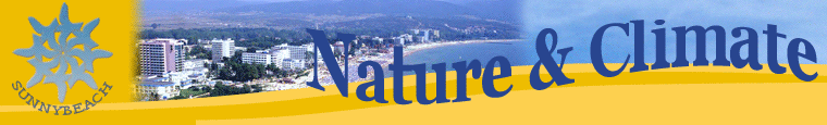 Weather in Sunny Beach and weather forecast for next days.